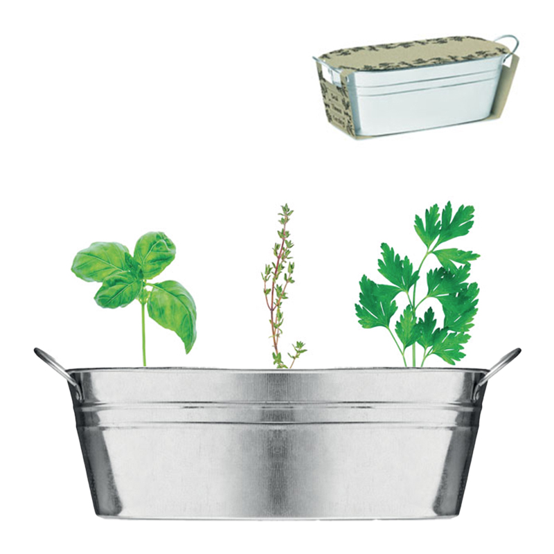 Planter zinc with herbs - Image 4